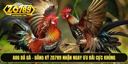 AOG Đá Gà
