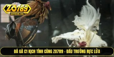 Đá Gà C1