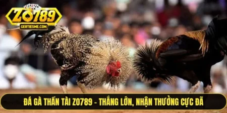Đá Gà Thần Tài